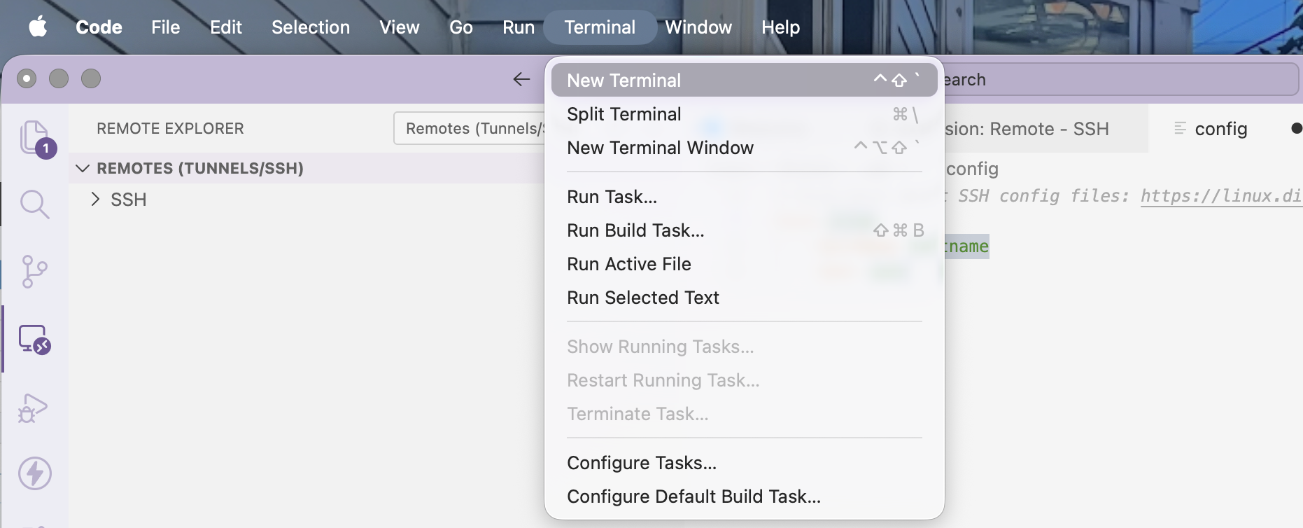 New Terminal
